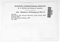 Image Associated With the Occurence